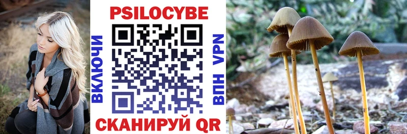 Купить где  Подольск  Галлюциногенные грибы Psilocybe 